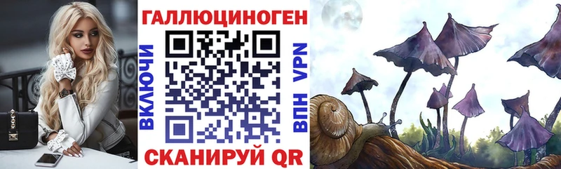 как найти наркотики Междуреченск Псилоцибиновые грибы Psilocybe