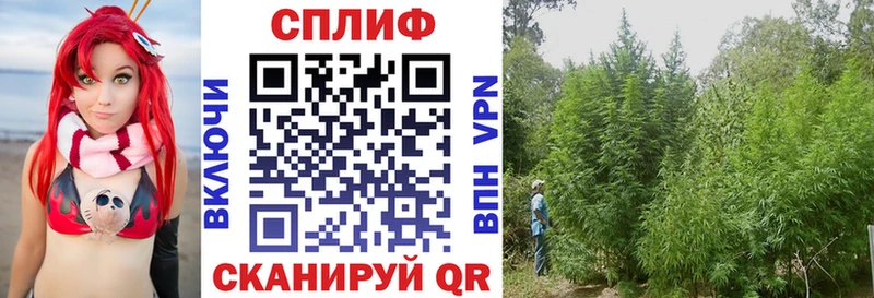 Конопля Ganja  дарнет шоп  Междуреченск 